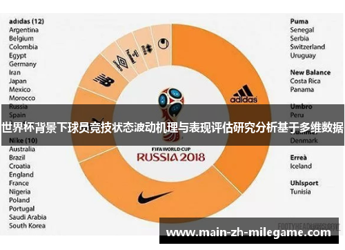 世界杯背景下球员竞技状态波动机理与表现评估研究分析基于多维数据 世界杯背景下球员竞技状态波动机理与表现评估研究分析基于多维数据