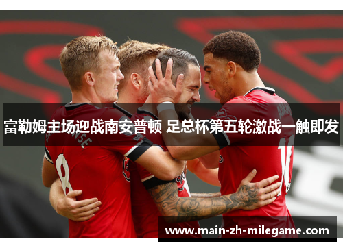 富勒姆主场迎战南安普顿 足总杯第五轮激战一触即发 富勒姆主场迎战南安普顿 足总杯第五轮激战一触即发